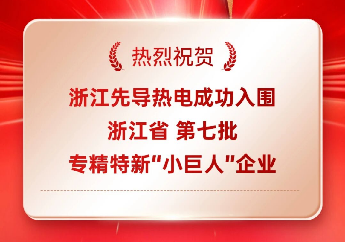 熱烈祝賀浙江先導(dǎo)熱電入圍浙江省第七批專精特新“小巨人”企業(yè)！